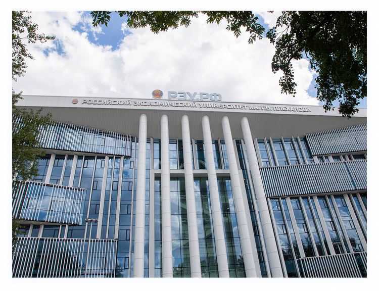 Sistema de monitoreo del programa de desarrollo de la Universidad Económica Plekhanov con KPI MONITOR Analyzer